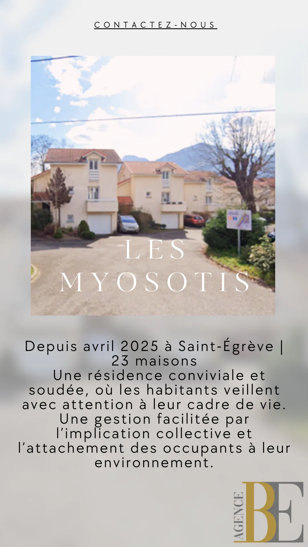 Les Myosotis