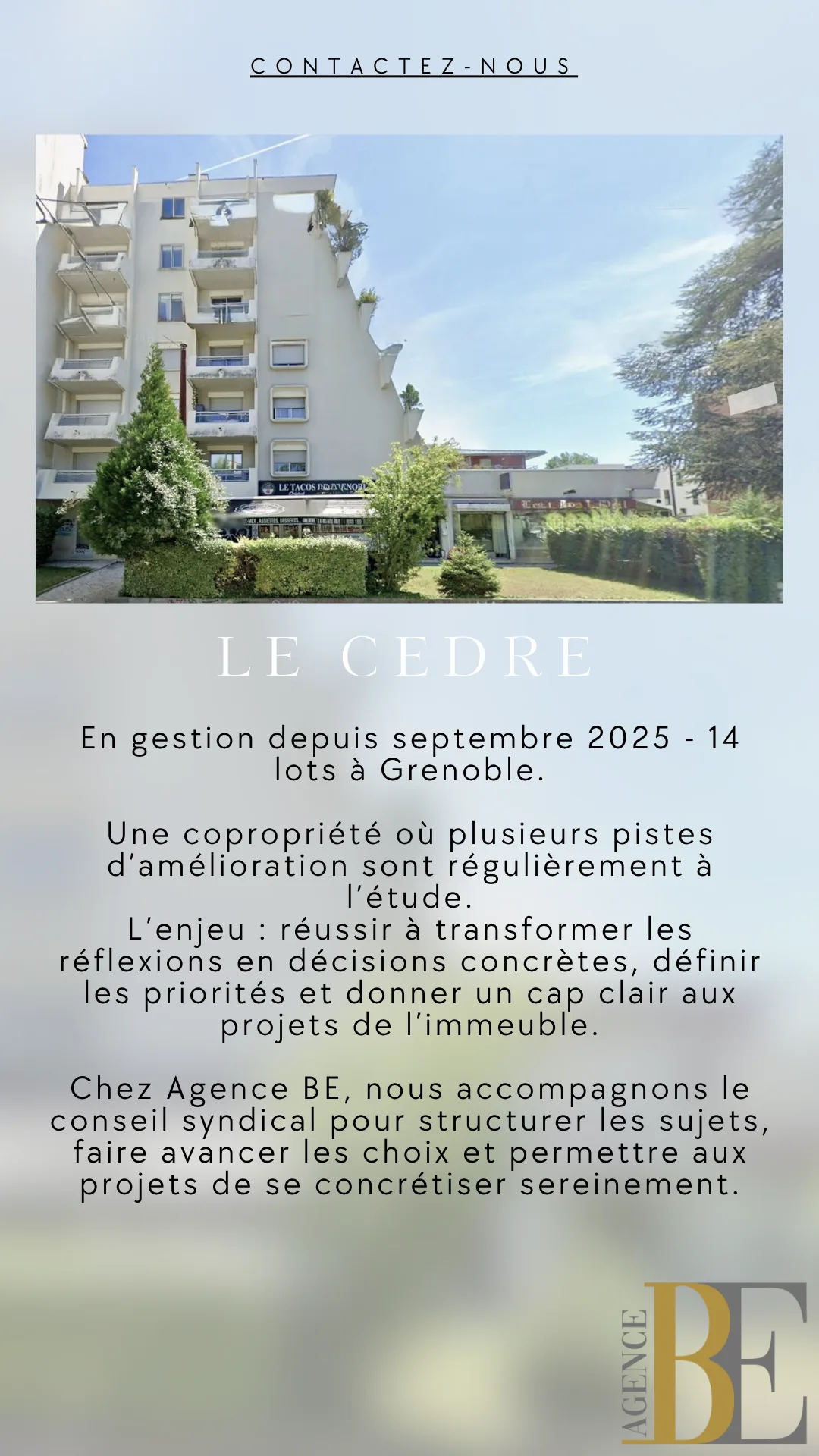 Le Cèdre