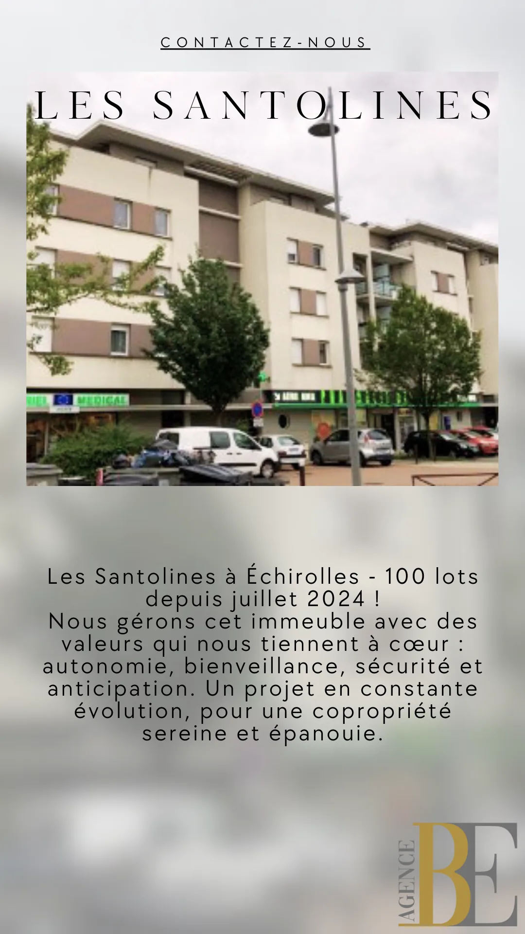 Les Santolines